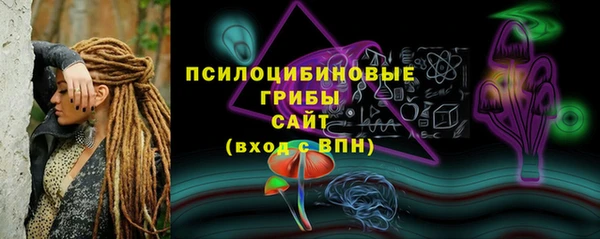 PSILOCYBIN Арсеньев